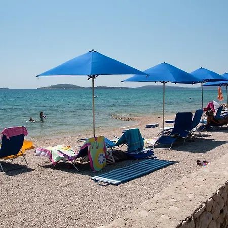 Koala ザボリッチ